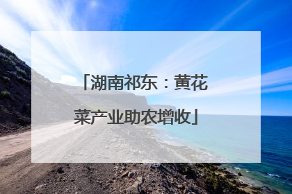 湖南祁东：黄花菜产业助农增收