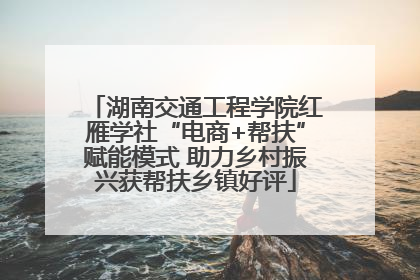 湖南交通工程学院红雁学社“电商+帮扶”赋能模式 助力乡村振兴获帮扶乡镇好评
