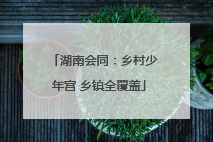 湖南会同：乡村少年宫 乡镇全覆盖