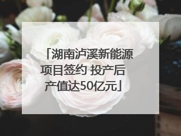 湖南泸溪新能源项目签约 投产后产值达50亿元