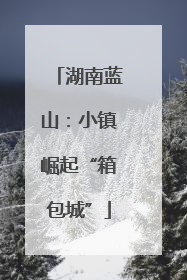 湖南蓝山：小镇崛起“箱包城”