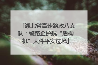 湖北省高速路政八支队：警路企护航“盾构机”大件平安过境