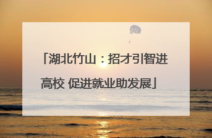 湖北竹山：招才引智进高校 促进就业助发展