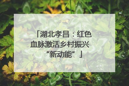 湖北孝昌：红色血脉激活乡村振兴“新动能”