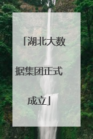 湖北大数据集团正式成立