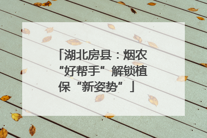 湖北房县：烟农“好帮手”解锁植保“新姿势”