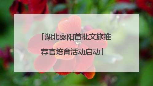 湖北襄阳首批文旅推荐官培育活动启动
