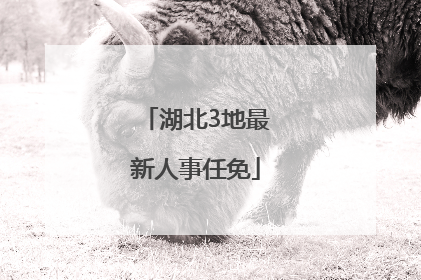 湖北3地最新人事任免