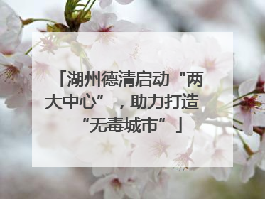 湖州德清启动“两大中心”，助力打造“无毒城市”