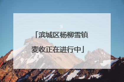 滨城区杨柳雪镇麦收正在进行中