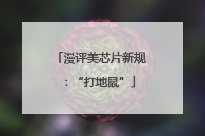 漫评美芯片新规：“打地鼠”
