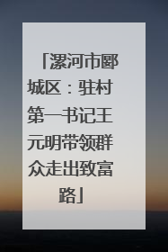 漯河市郾城区：驻村第一书记王元明带领群众走出致富路
