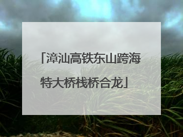 漳汕高铁东山跨海特大桥栈桥合龙