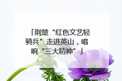 荆楚“红色文艺轻骑兵”走进英山，唱响“三大精神”
