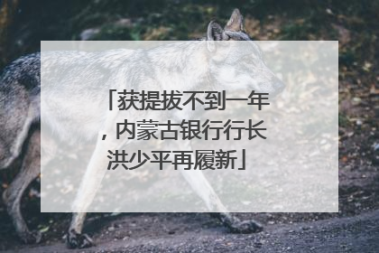 获提拔不到一年，内蒙古银行行长洪少平再履新