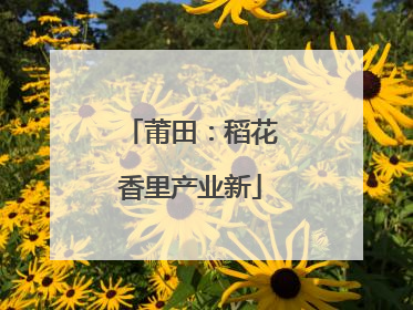 莆田：稻花香里产业新