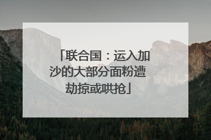 联合国：运入加沙的大部分面粉遭劫掠或哄抢