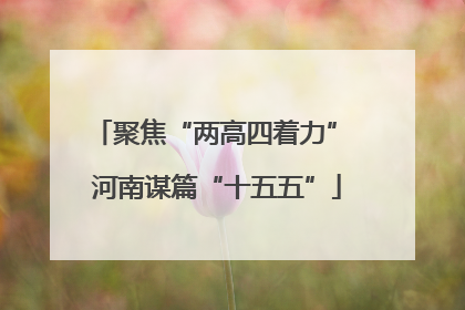 聚焦“两高四着力” 河南谋篇“十五五”