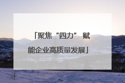 聚焦“四力” 赋能企业高质量发展