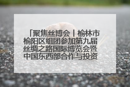 聚焦丝博会丨榆林市榆阳区组团参加第九届丝绸之路国际博览会暨中国东西部合作与投资贸易洽谈会