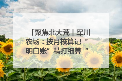 聚焦北大荒｜军川农场：按月核算记“明白账”精打细算“过紧日子”