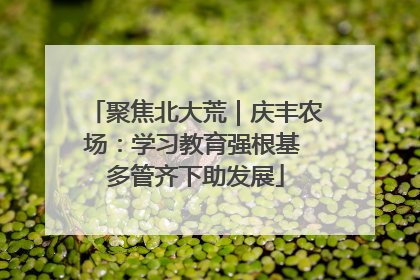 聚焦北大荒｜庆丰农场：学习教育强根基 多管齐下助发展