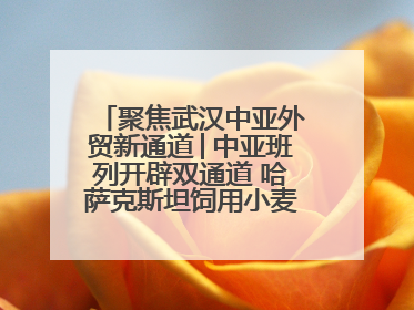 聚焦武汉中亚外贸新通道│中亚班列开辟双通道 哈萨克斯坦饲用小麦将抵鄂