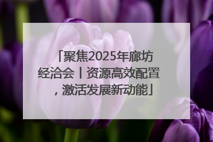聚焦2025年廊坊经洽会丨资源高效配置，激活发展新动能