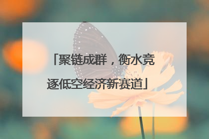 聚链成群，衡水竞逐低空经济新赛道