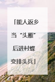 能人返乡当“头雁” 后进村蝶变排头兵