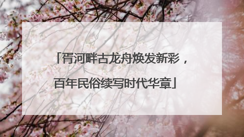 胥河畔古龙舟焕发新彩，百年民俗续写时代华章