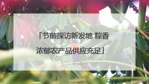 节前探访新发地 粽香浓郁农产品供应充足