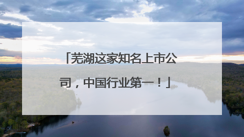 芜湖这家知名上市公司，中国行业第一！