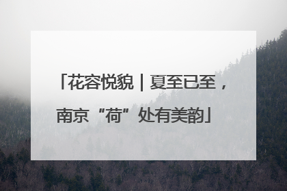 花容悦貌｜夏至已至，南京“荷”处有美韵