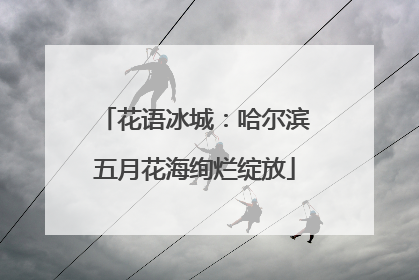 花语冰城：哈尔滨五月花海绚烂绽放