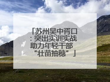 苏州吴中胥口：突出实训实战 助力年轻干部“壮苗抽穗”