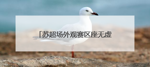 苏超场外观赛区座无虚席，常州球迷雨中撑伞观赛：希望能进一球