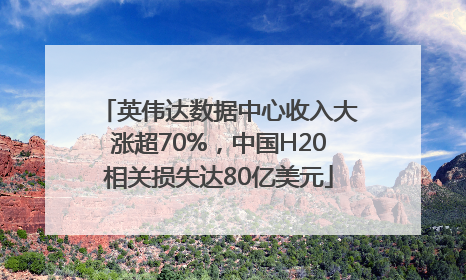 英伟达数据中心收入大涨超70%，中国H20相关损失达80亿美元