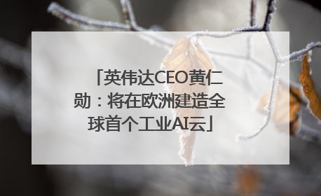 英伟达CEO黄仁勋：将在欧洲建造全球首个工业AI云