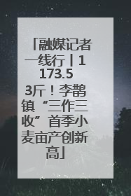 融媒记者一线行丨1173.53斤！李鹊镇“三作三收”首季小麦亩产创新高