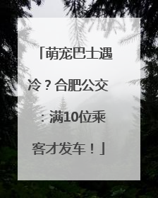 萌宠巴士遇冷？合肥公交：满10位乘客才发车！