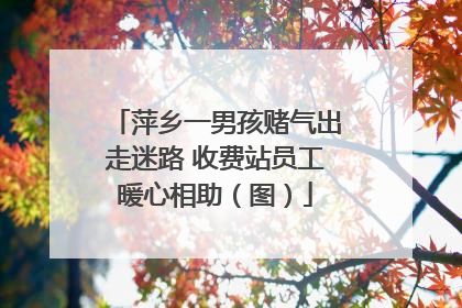 萍乡一男孩赌气出走迷路 收费站员工暖心相助（图）