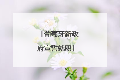 葡萄牙新政府宣誓就职