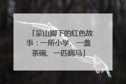 蒙山脚下的红色故事：一所小学、一盏茶碗、一匹病马