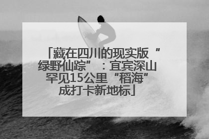 藏在四川的现实版“绿野仙踪”：宜宾深山罕见15公里“稻海”成打卡新地标