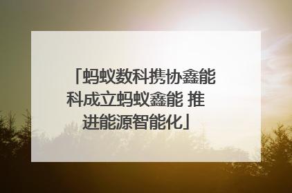 蚂蚁数科携协鑫能科成立蚂蚁鑫能 推进能源智能化
