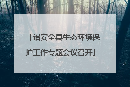 诏安全县生态环境保护工作专题会议召开
