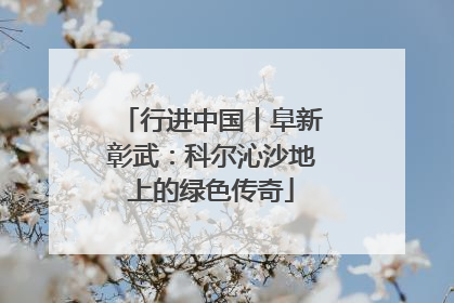 行进中国丨阜新彰武：科尔沁沙地上的绿色传奇