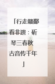 行走赣鄱看非遗：斫琴三春秋 古音传千年