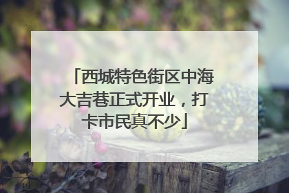 西城特色街区中海大吉巷正式开业，打卡市民真不少